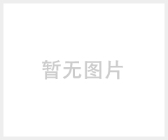 球型摄像机 (XS-8120)